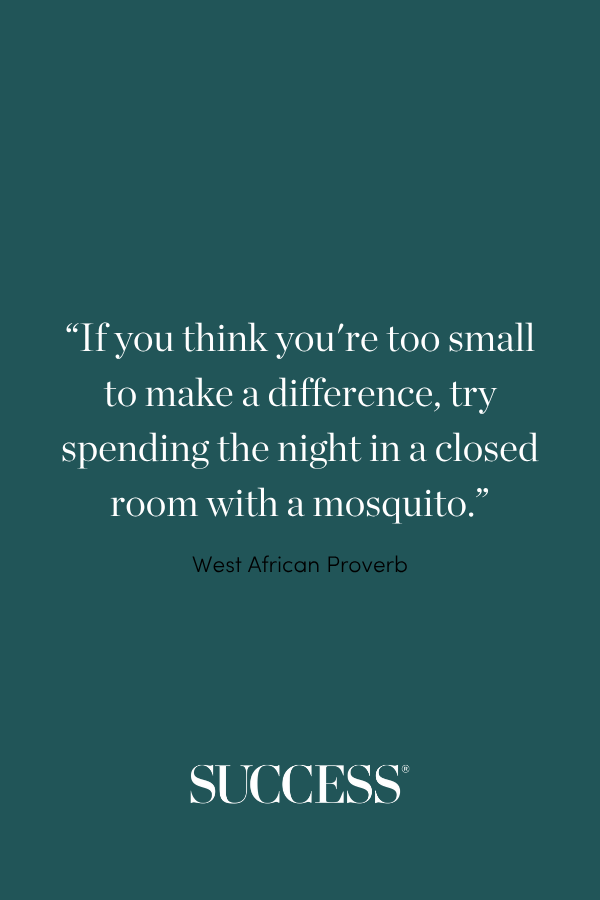 “If you think you're too small to make a difference, try spending the night in a closed room with a mosquito.” —West African Proverb
