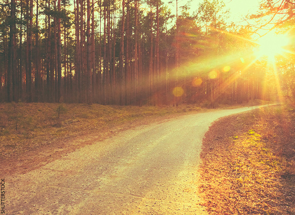 Be Home for Dinner More Often & 7 Other Rules for a Good Life