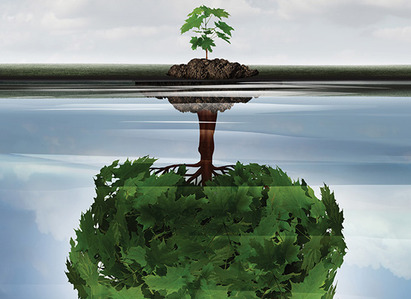 How to Envision—and Reach—Your Big Potential