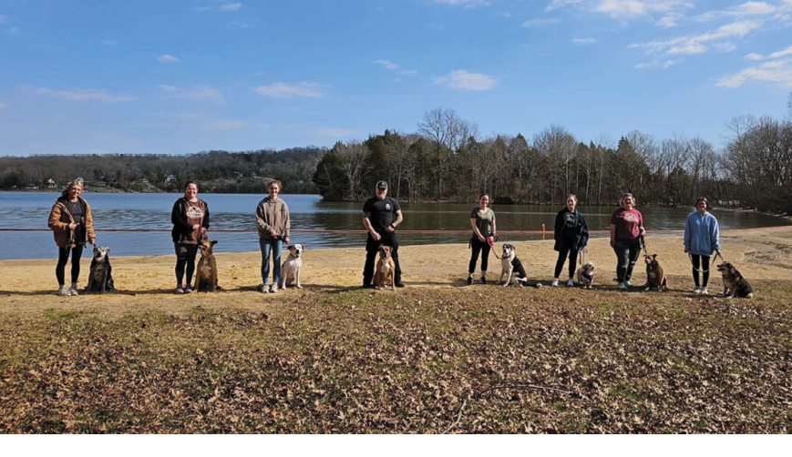 Courtesy_Old_Friends_Senior_Dog_Sanctuary_(1)_ADJ