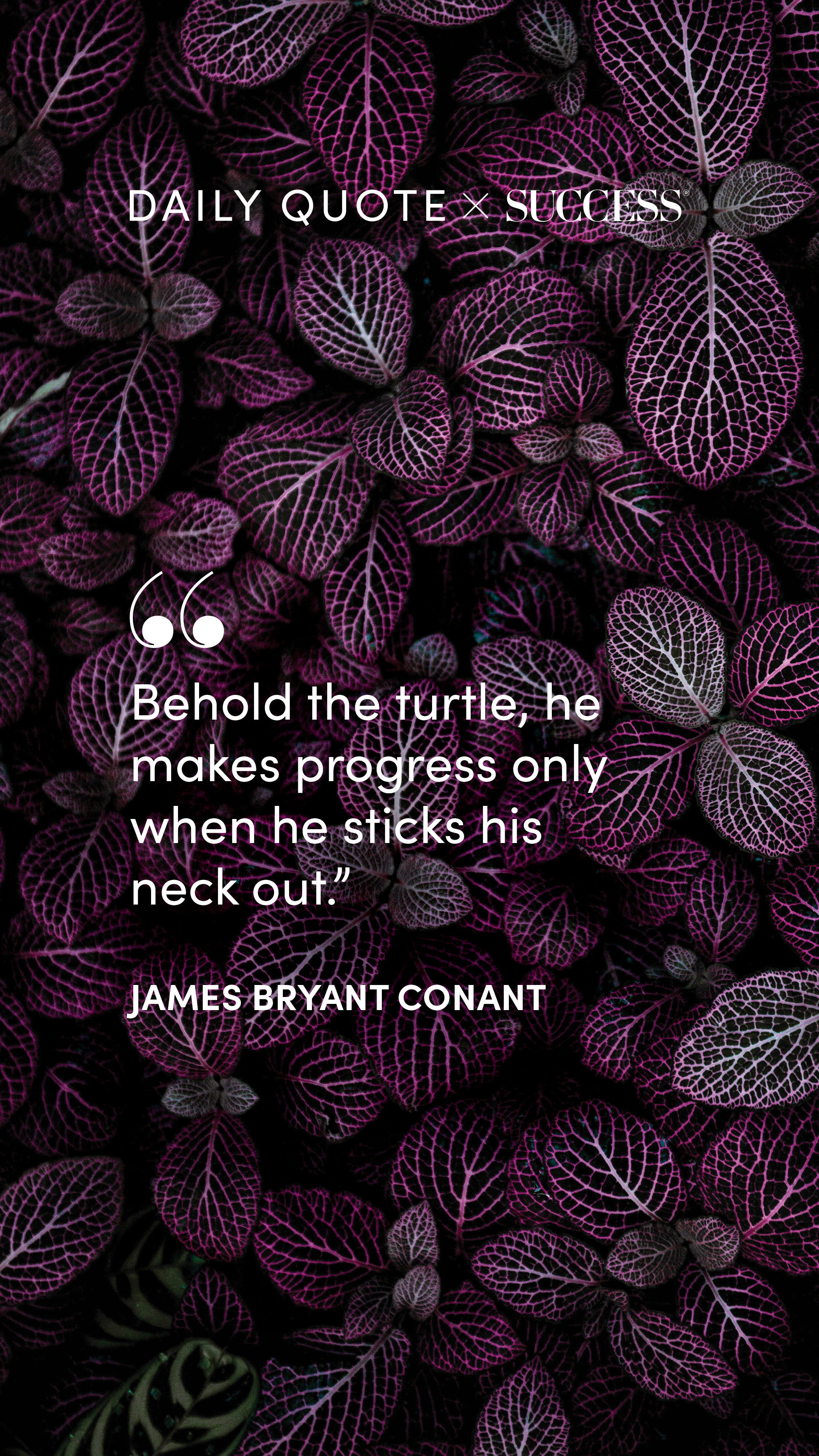 Quote graphic from James Bryant Conant on Take Action