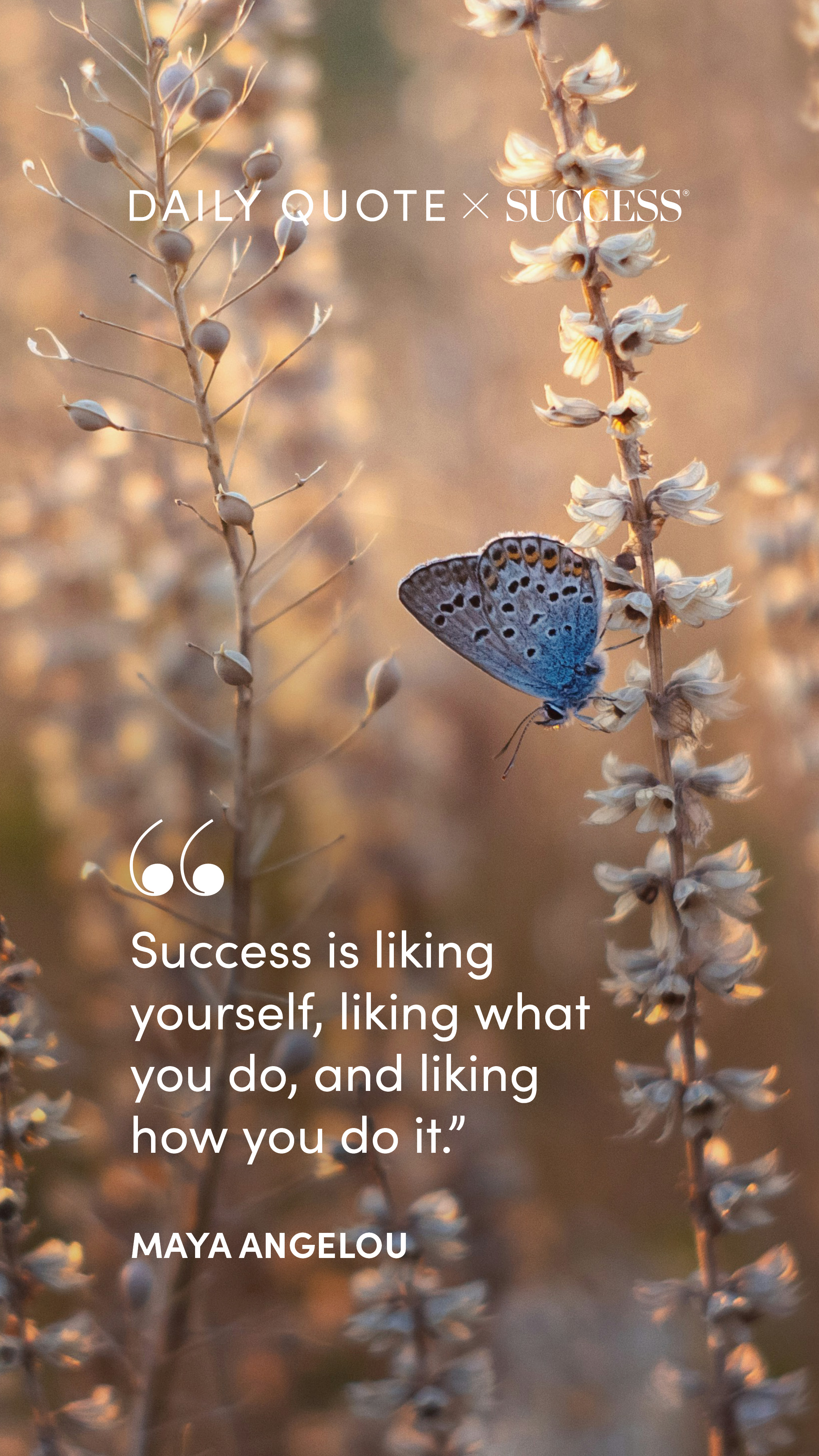 A recent SUCCESS daily quote graphic