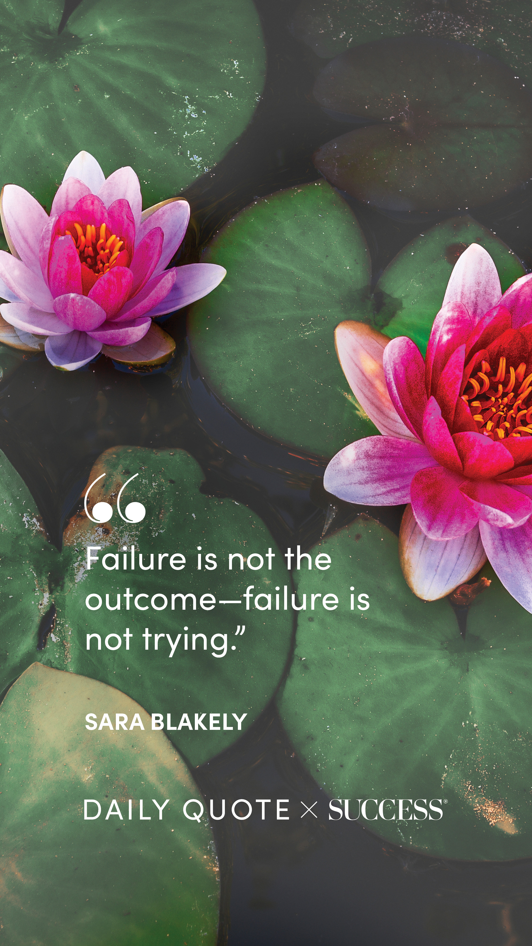 Quote graphic from Sara Blakely on Take Action
