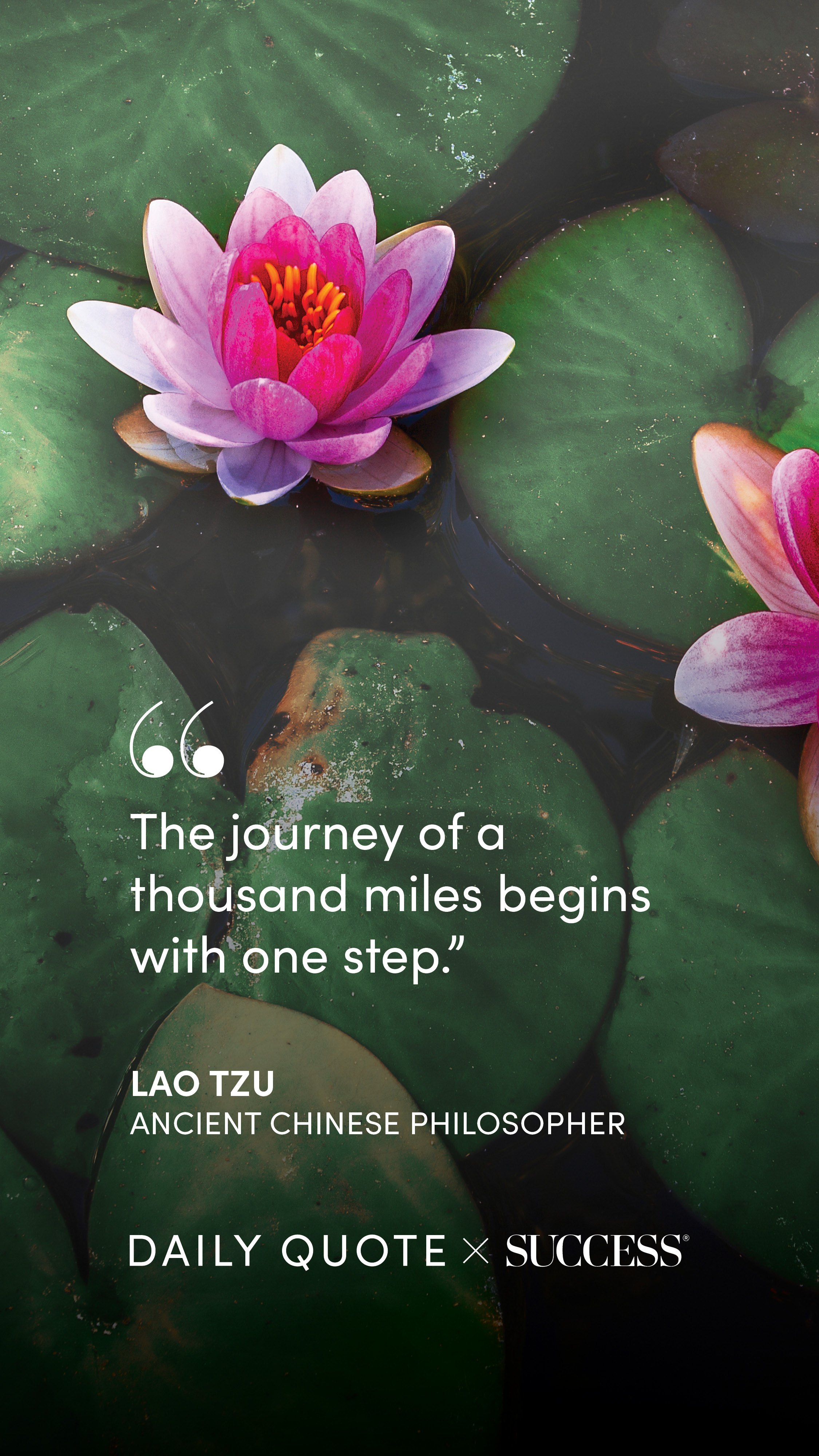 "The journey of a thousand miles begins with one step." — Lao Tzu, on Take Action