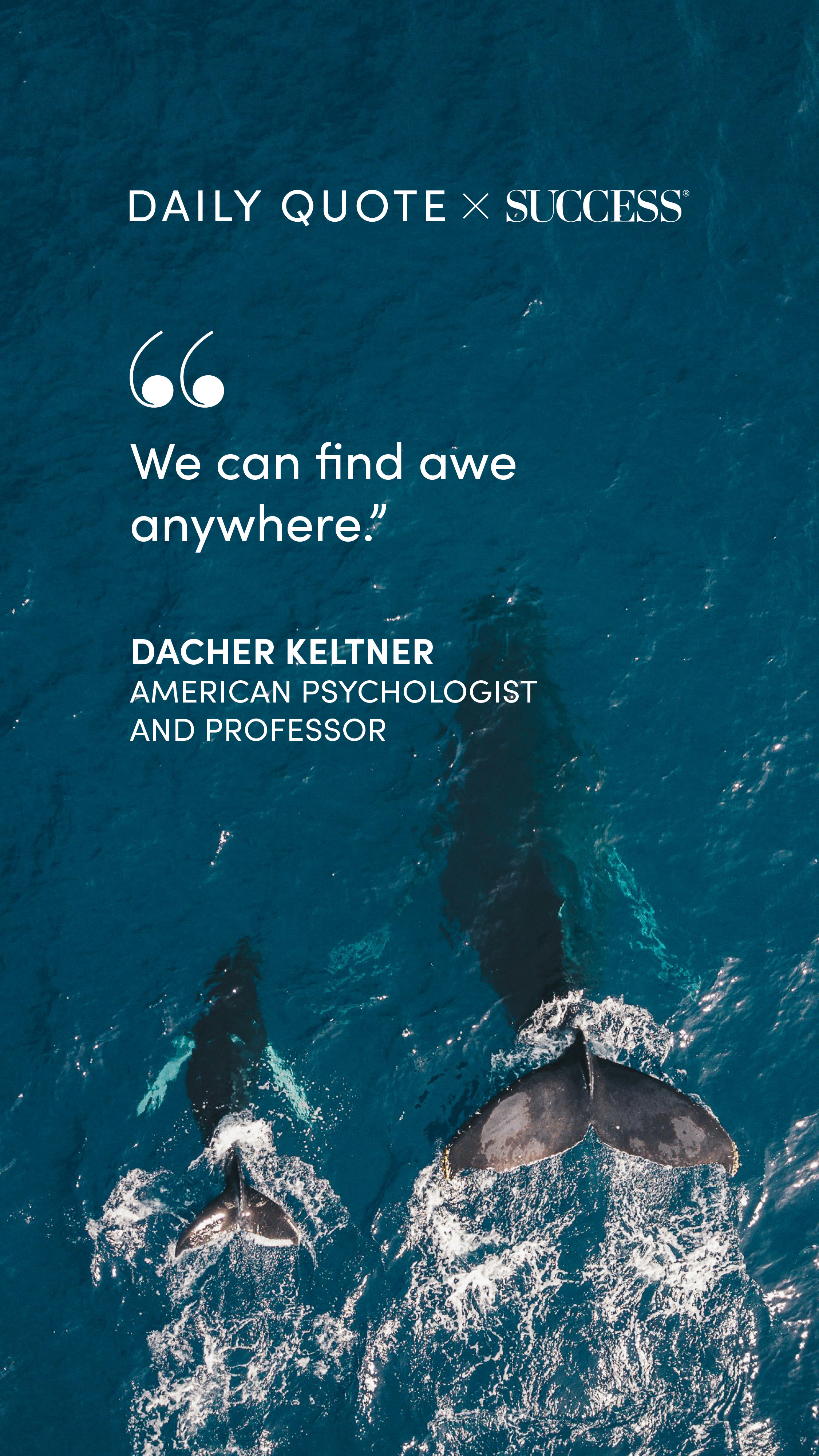"We can find awe anywhere." — Dacher Keltner, on Stay Curious