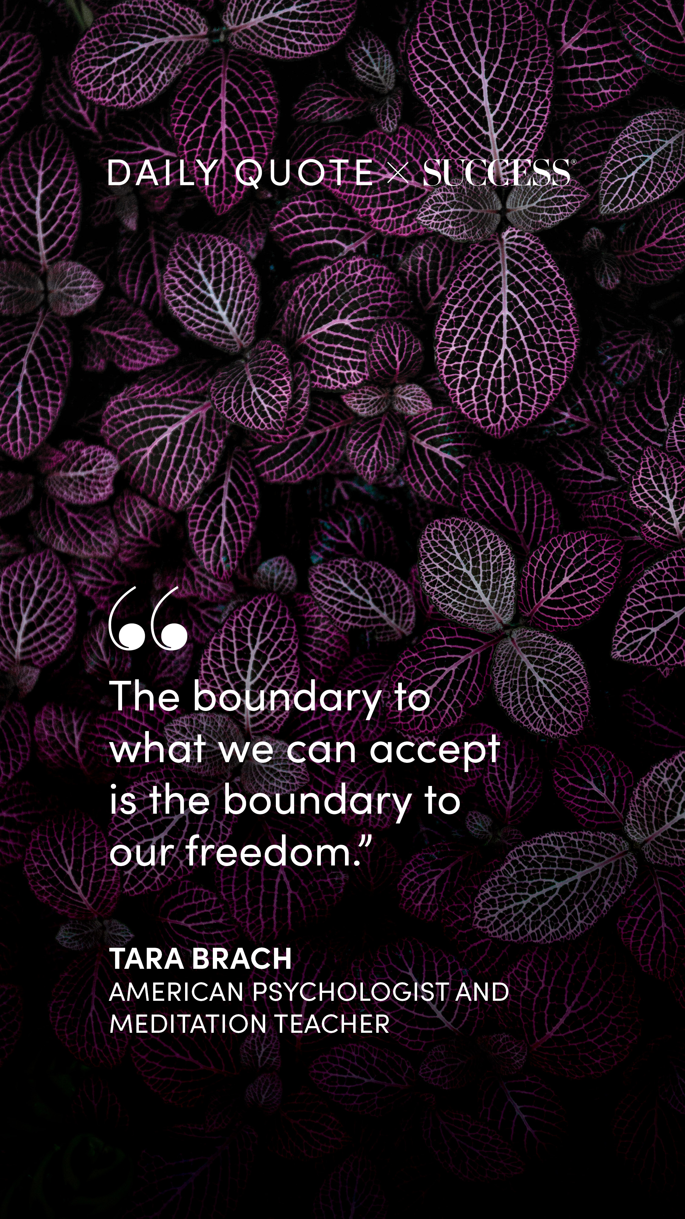 "The boundary to what we can accept is the boundary to our freedom." — Tara Brach, on Trust Yourself