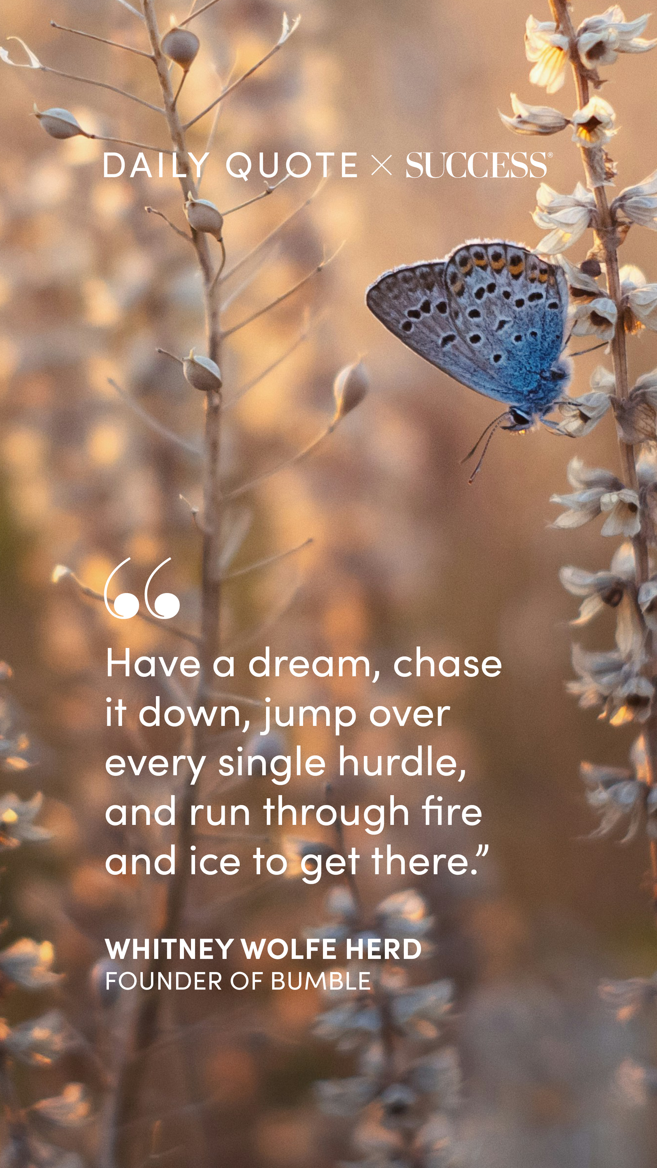 "Have a dream, chase it down, jump over every single hurdle, and run through fire and ice…" — Whitney Wolfe Herd, on Dream Bigger