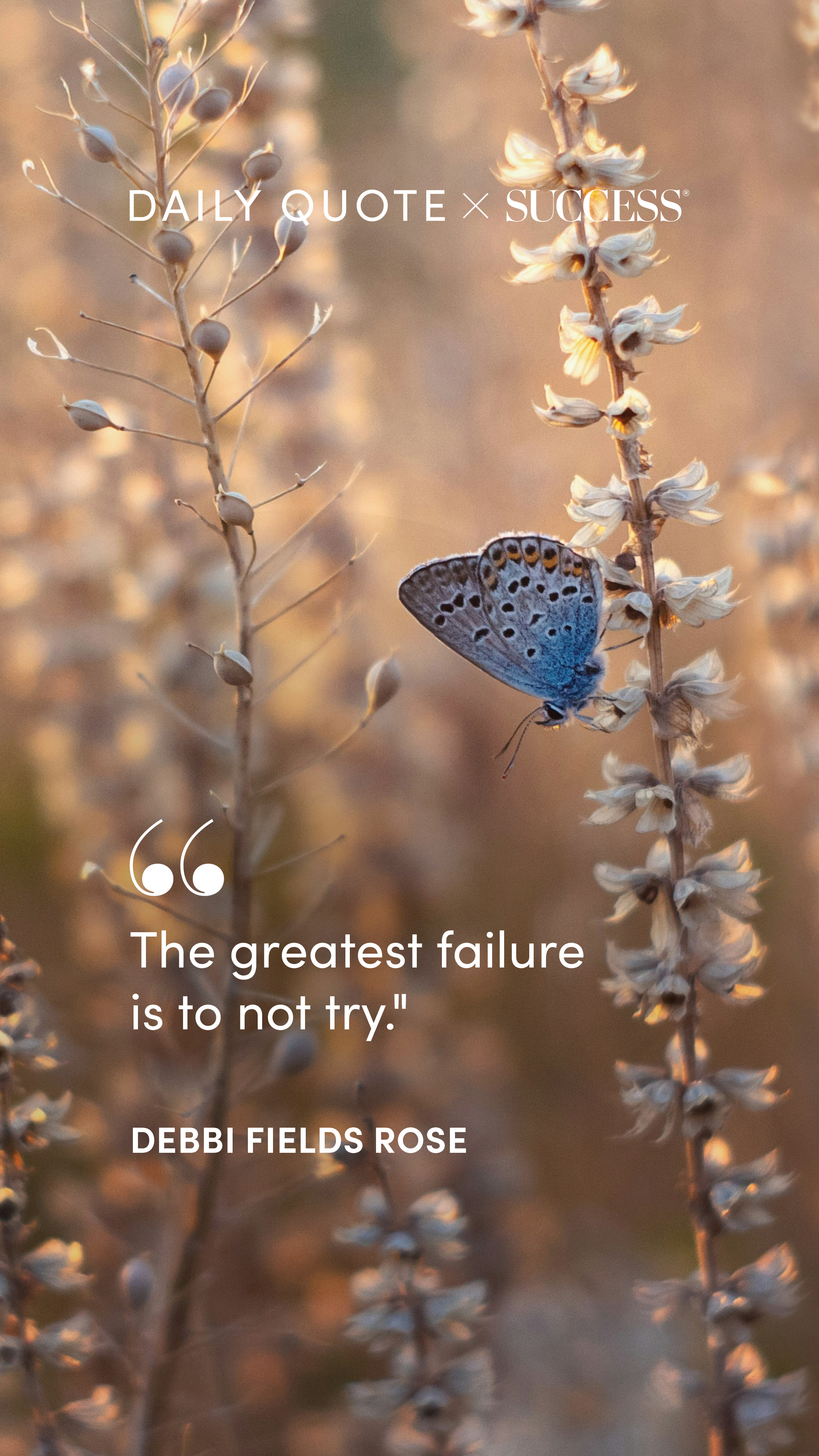 Quote graphic from Debbi Fields Rose on Take Action