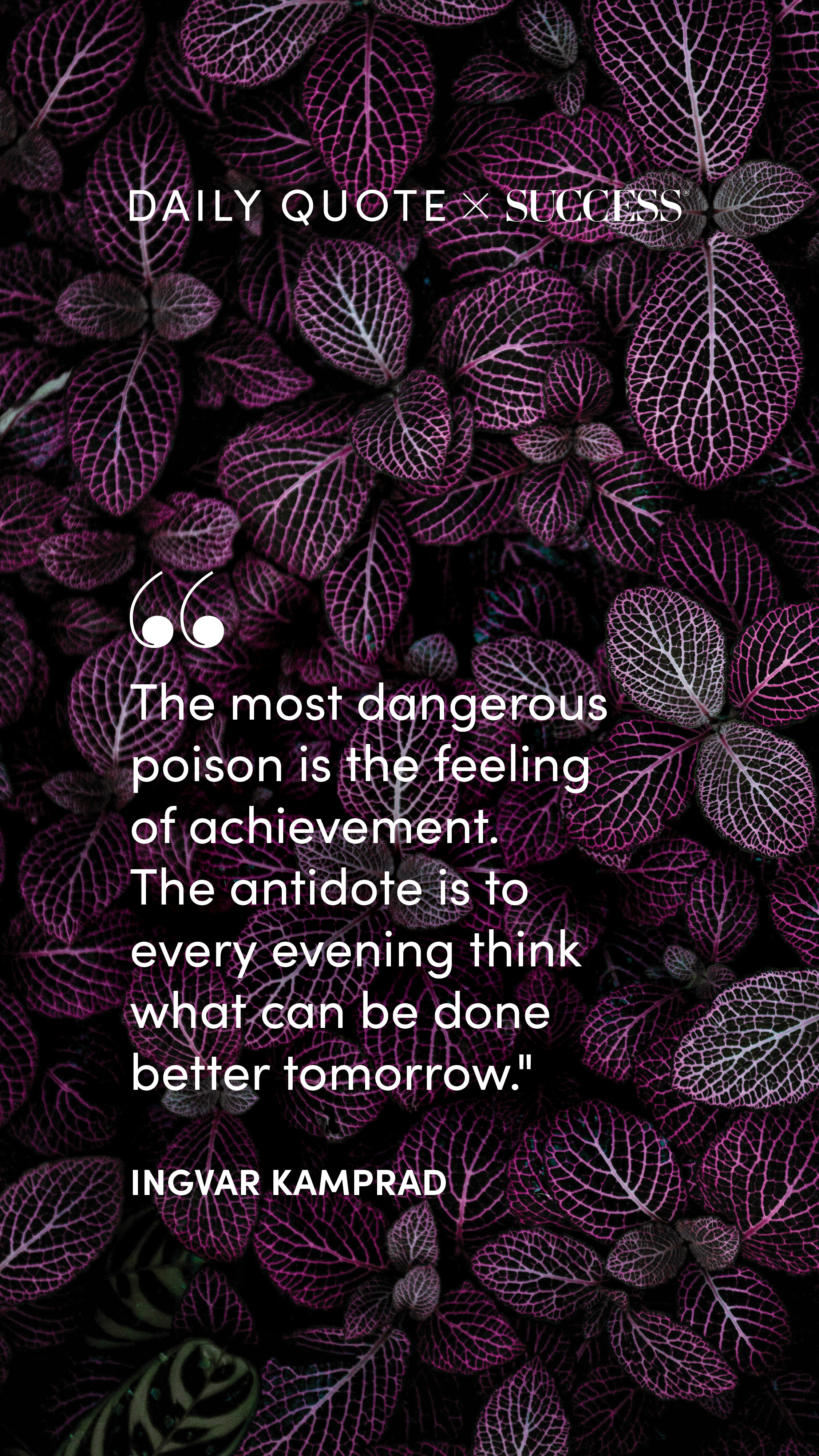 Quote graphic from Ingvar Kamprad on Stay Curious