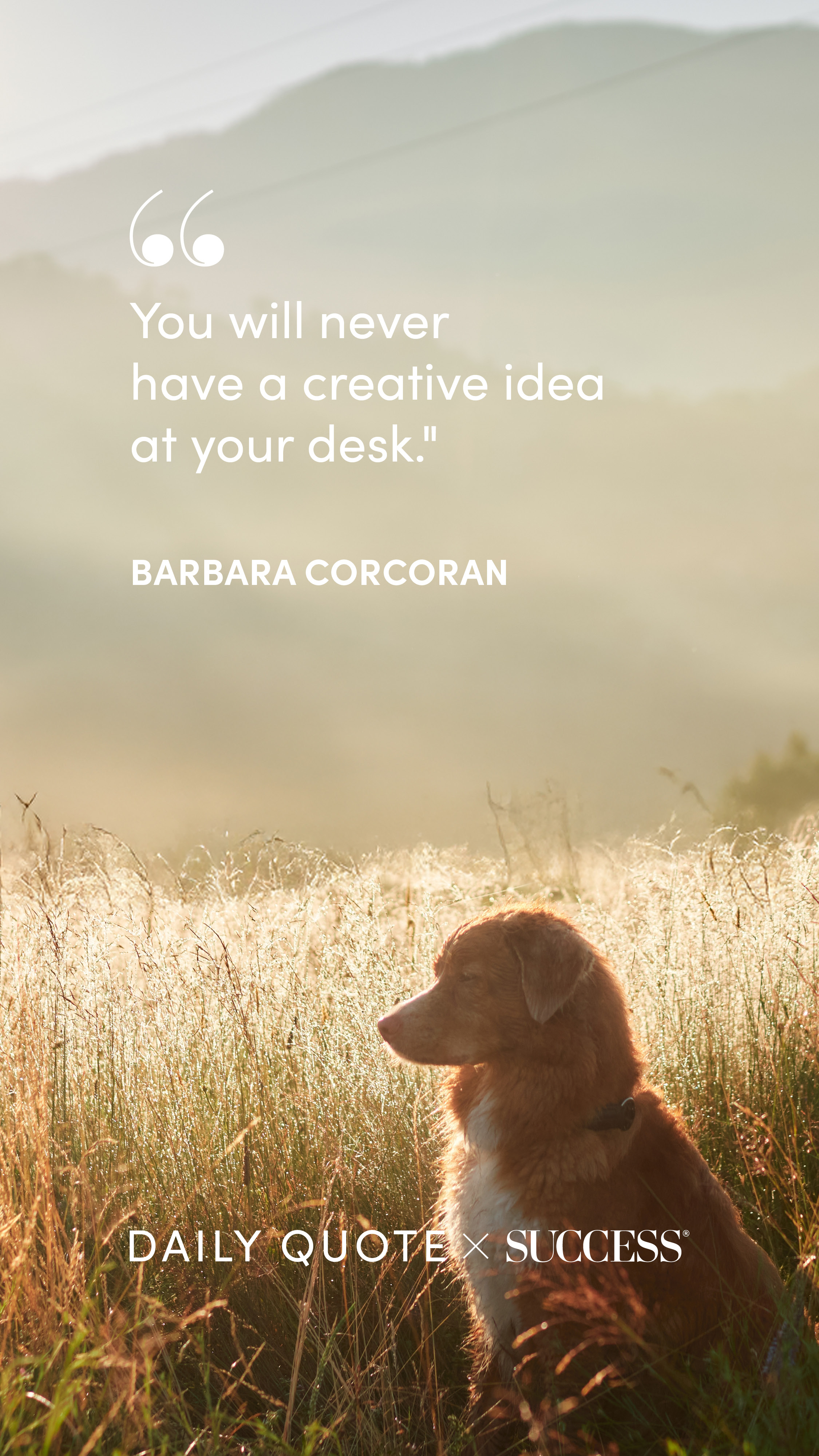 Quote graphic from Barbara Corcoran on Take Action