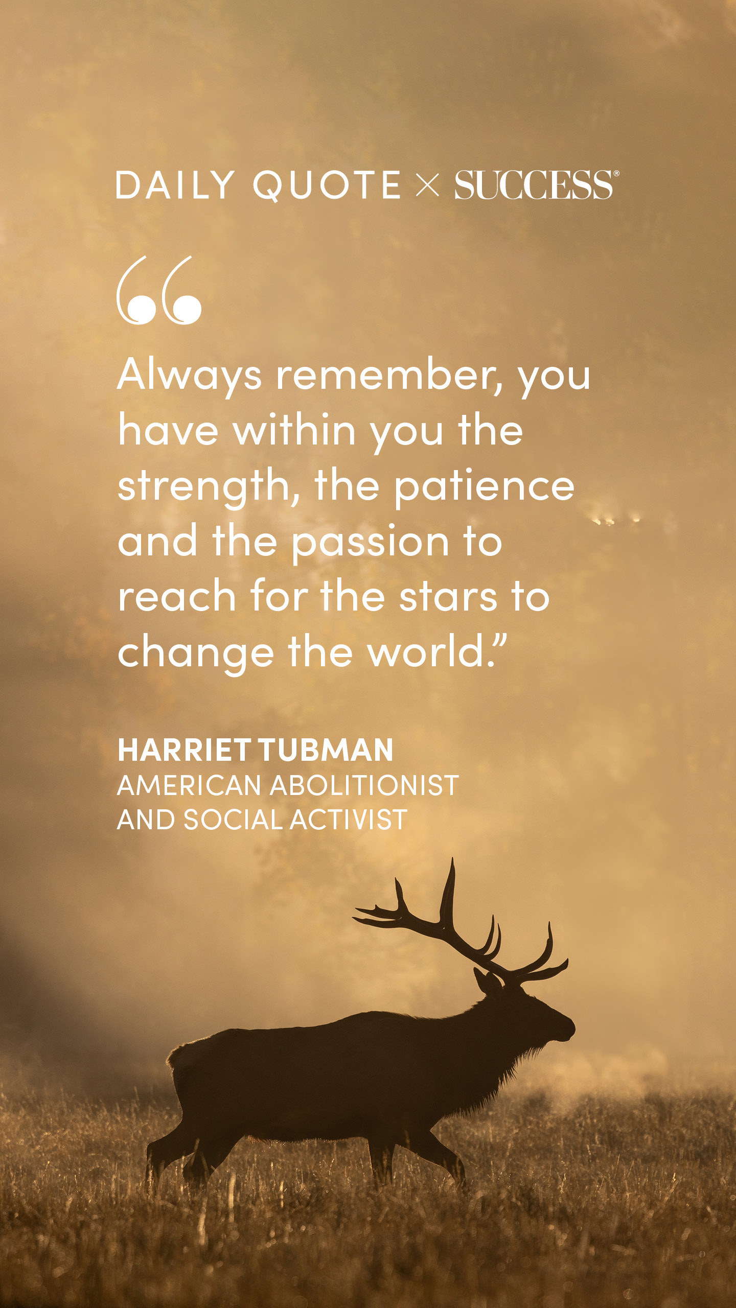 "Always remember, you have within you the strength, the patience and the passion to reach…" — Harriet Tubman, on Trust Yourself