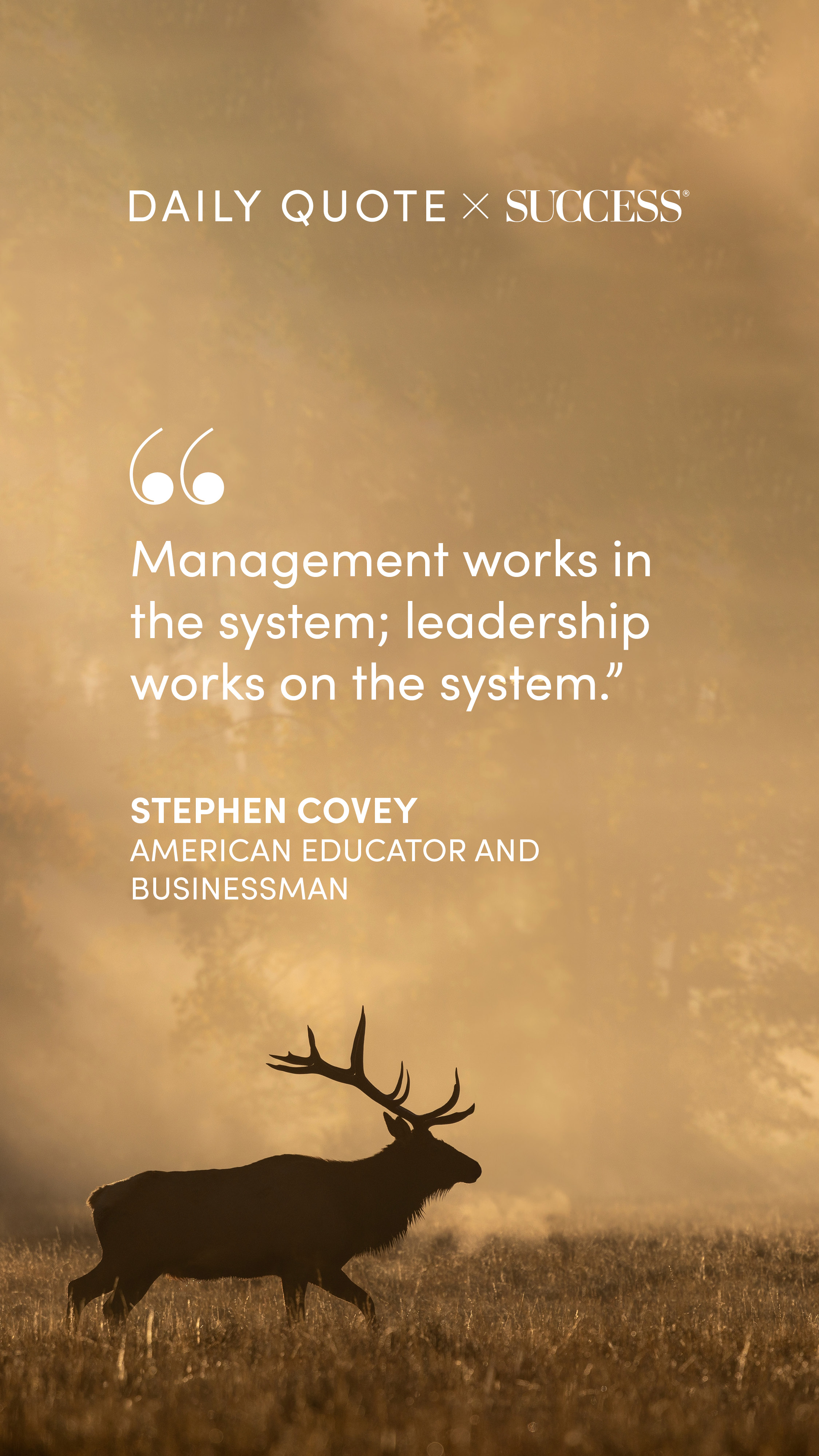 "Management works in the system; leadership works on the system." — Stephen Covey, on Lead with Heart