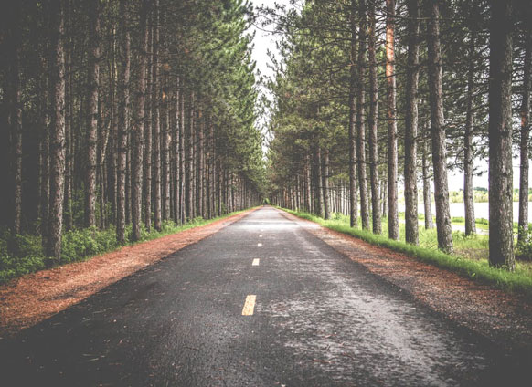 Rohn: These 5 Questions Will Define Where You’re Going in Life