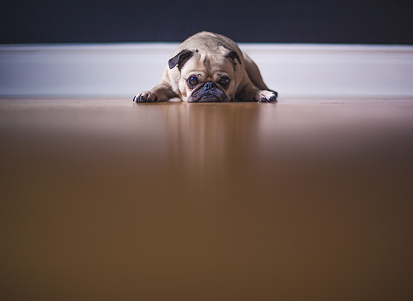 10 Ways to Get Your Mojo Back