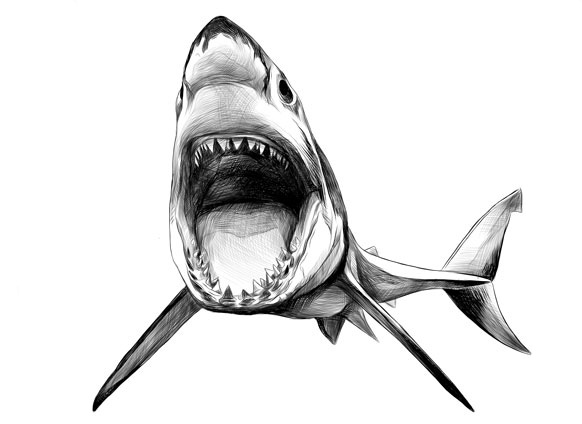 Howtoswimwiththesharks 0