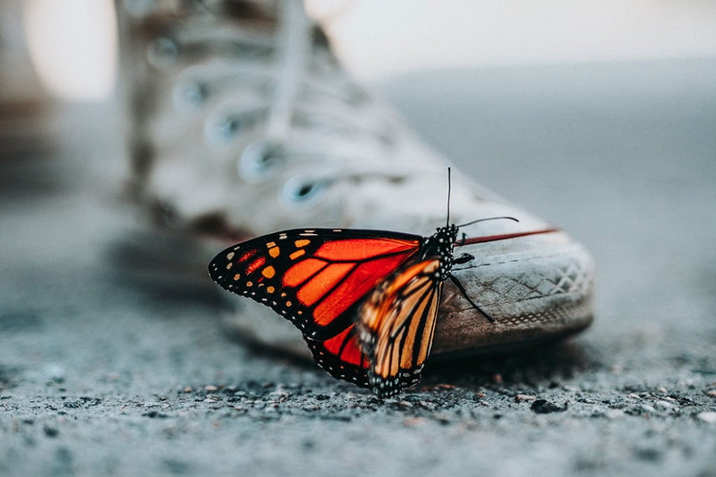 AgingGracefully 1 1024x682