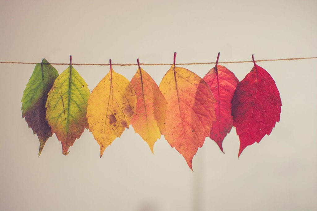 Change: Humankind's Greatest Asset Change: Humankind's Greatest Asset