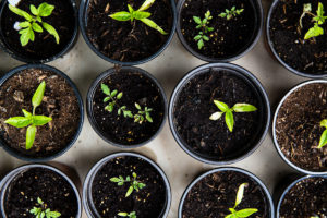 5 Tips for Personal Growth