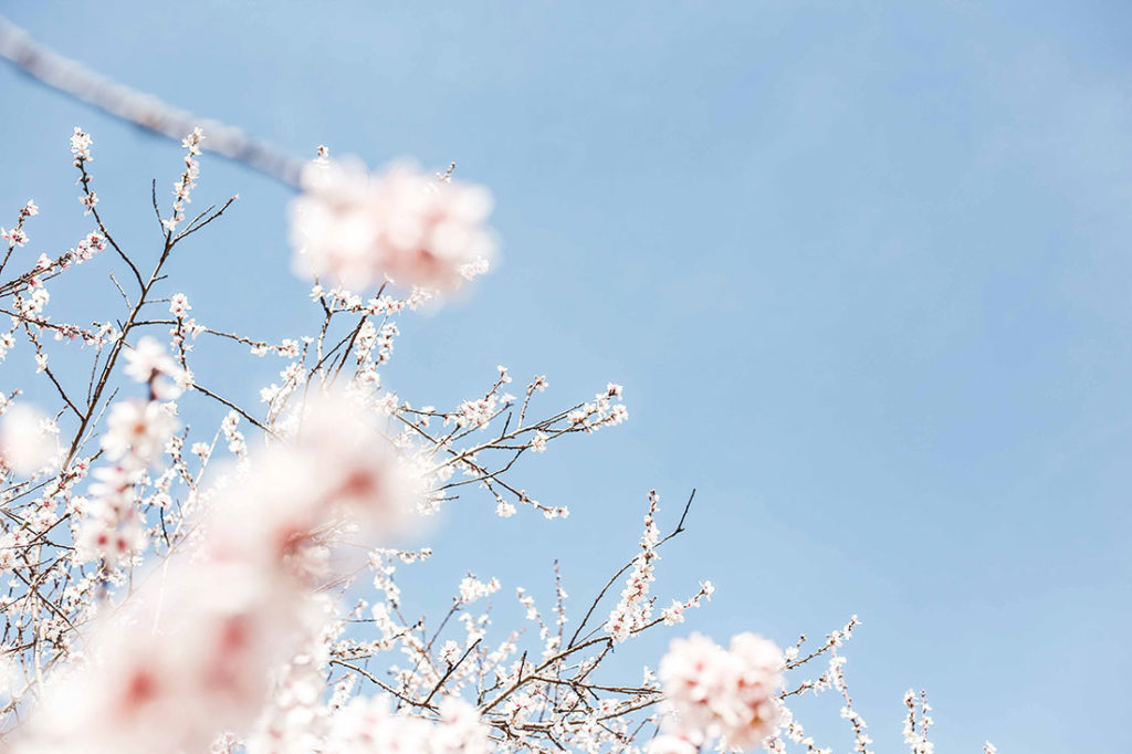 spring quotes