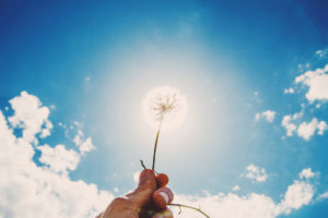 Never Stop Dreaming of Your Best Future