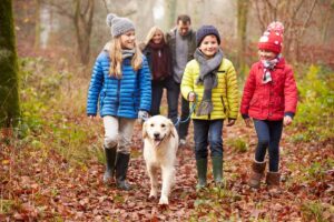 Family of 5 on an autumn walk with their dog using their time wisely by spending time together