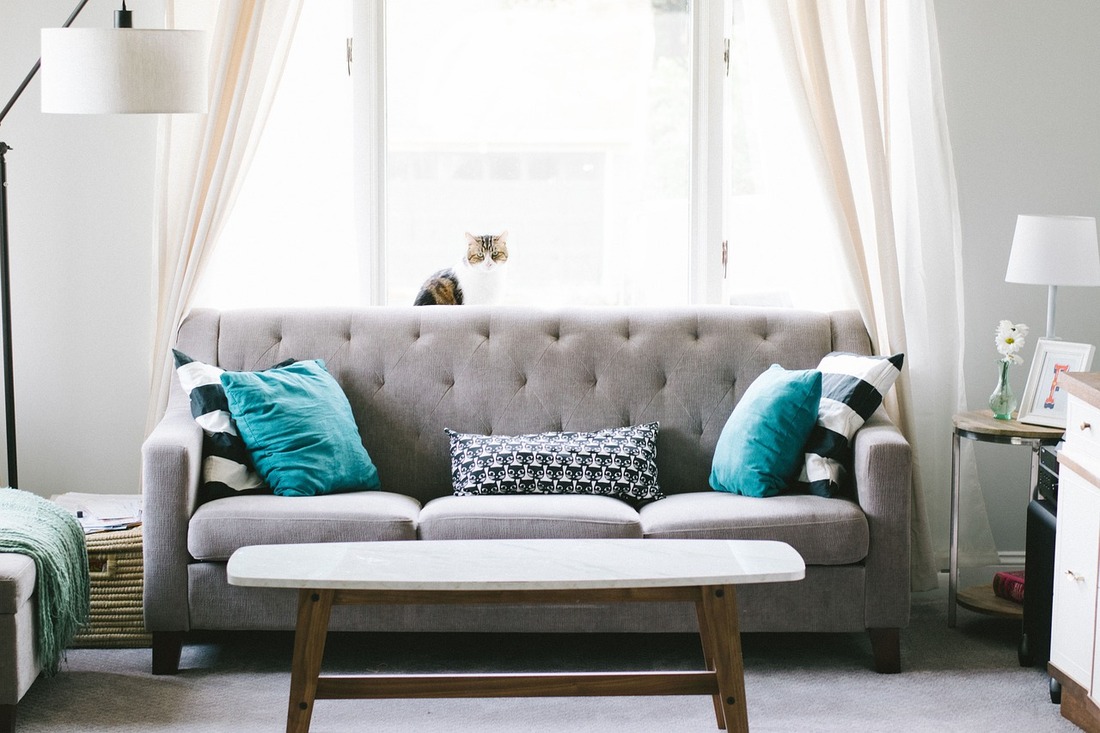 a gray sofa situated in a living room with a cat sitting on the windowsill behind it