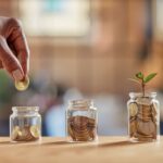 A hand deposits money into a jar. There are two jars with more money, and a plant is growing from the one with the most.