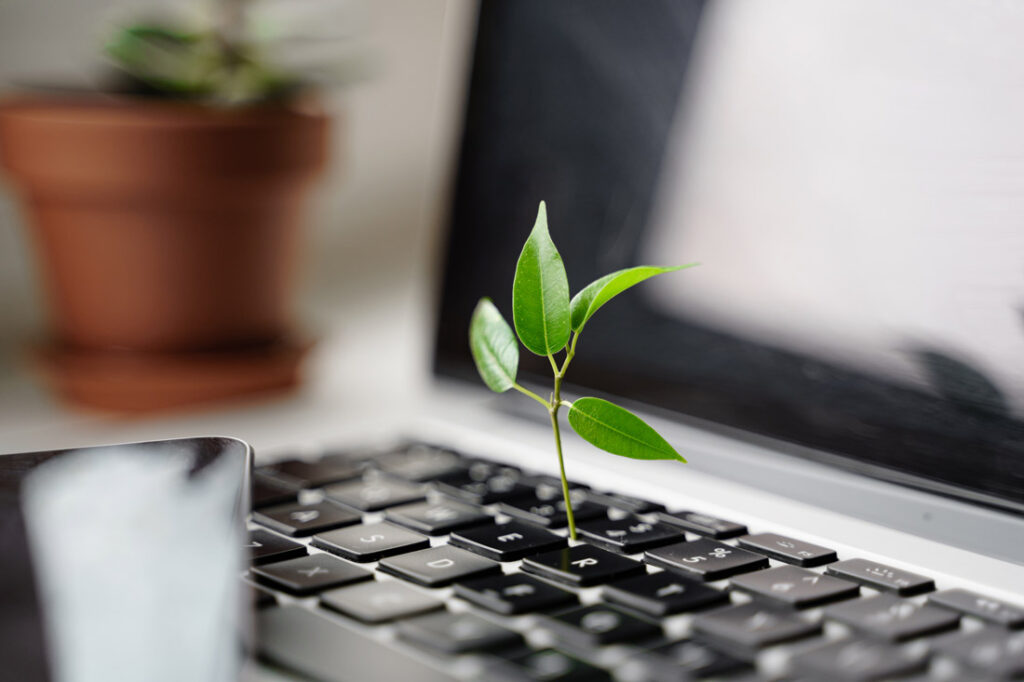 Plant growing out of a laptop
