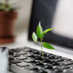 Plant growing out of a laptop