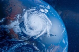 Preservation and Profit: 4 Companies That Use Sustainable Business Practices to Help Protect the Earth