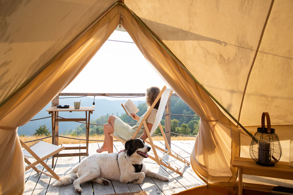 glamping or glamour camping with a dog