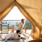 glamping or glamour camping with a dog