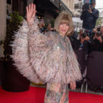 anna wintour on the red carpet