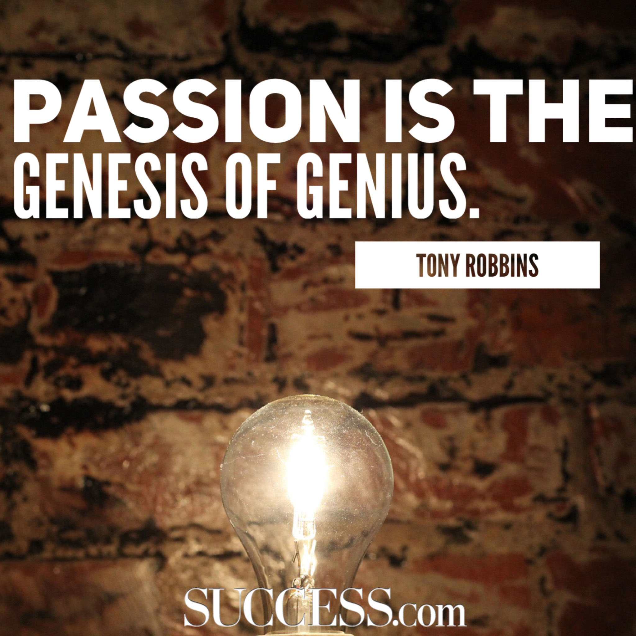 19 Quotes About Following Your Passion