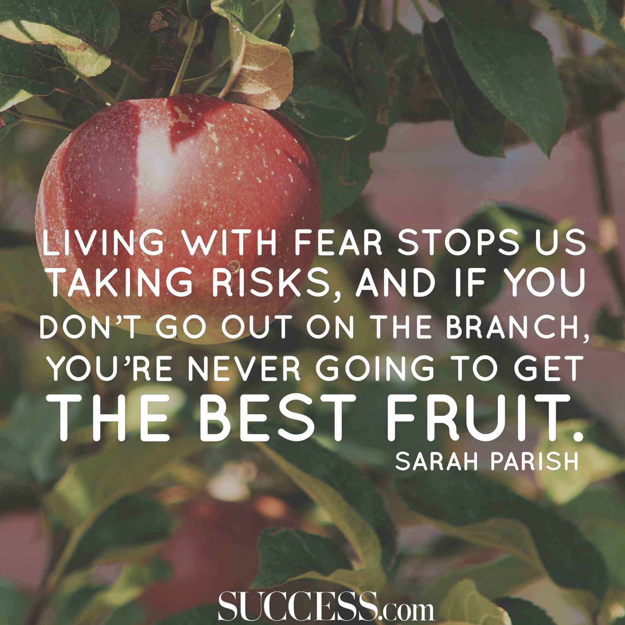 19 Quotes About Facing Your Fears