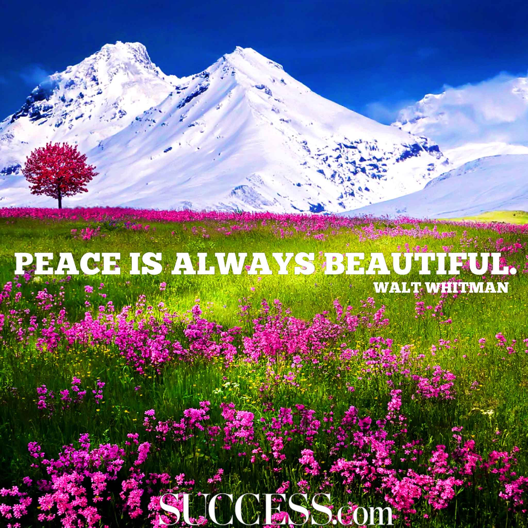 Finding Your Inner Peace: Maryland's Take It Easy Christian Fellowship Retreat & Campground