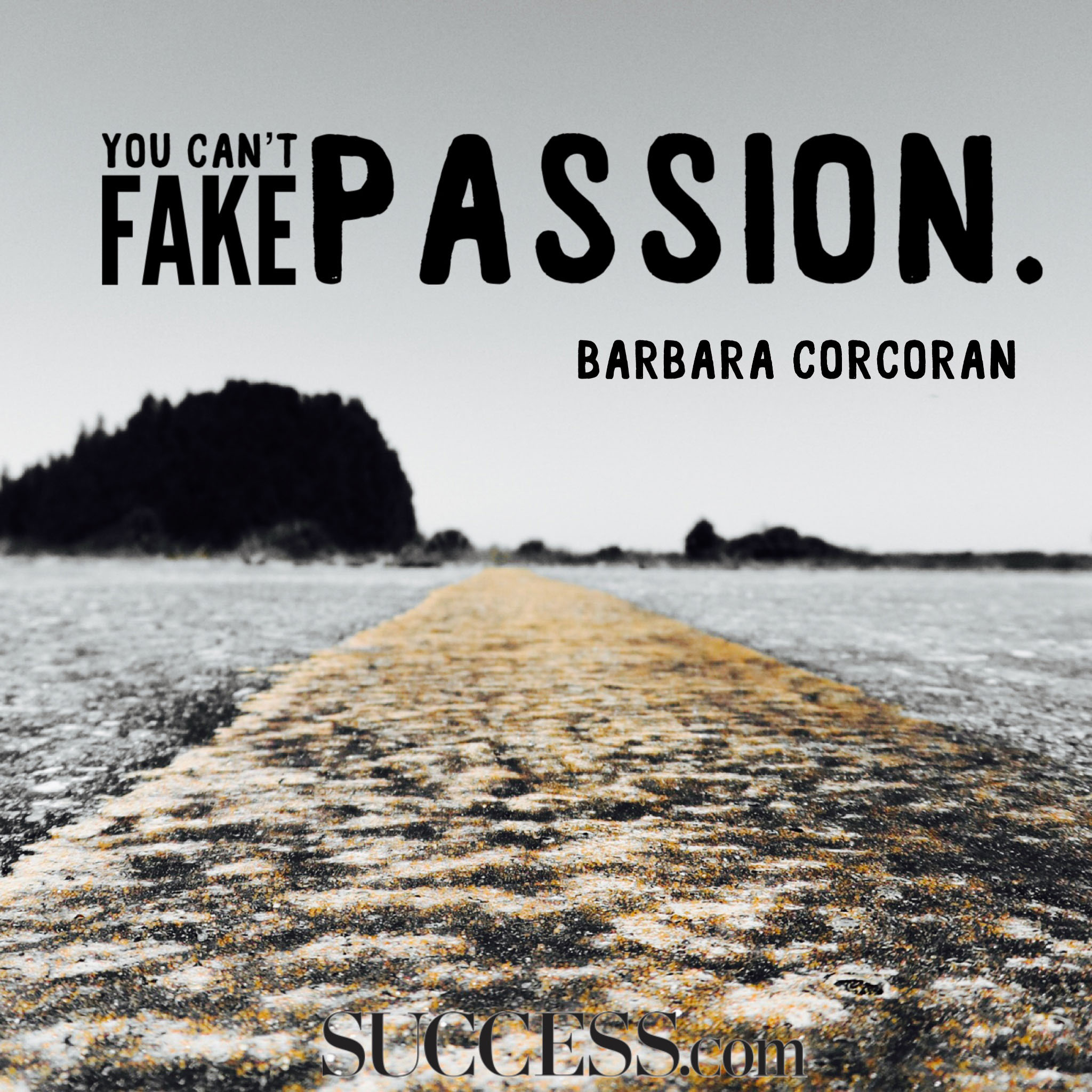 19 Quotes About Following Your Passion