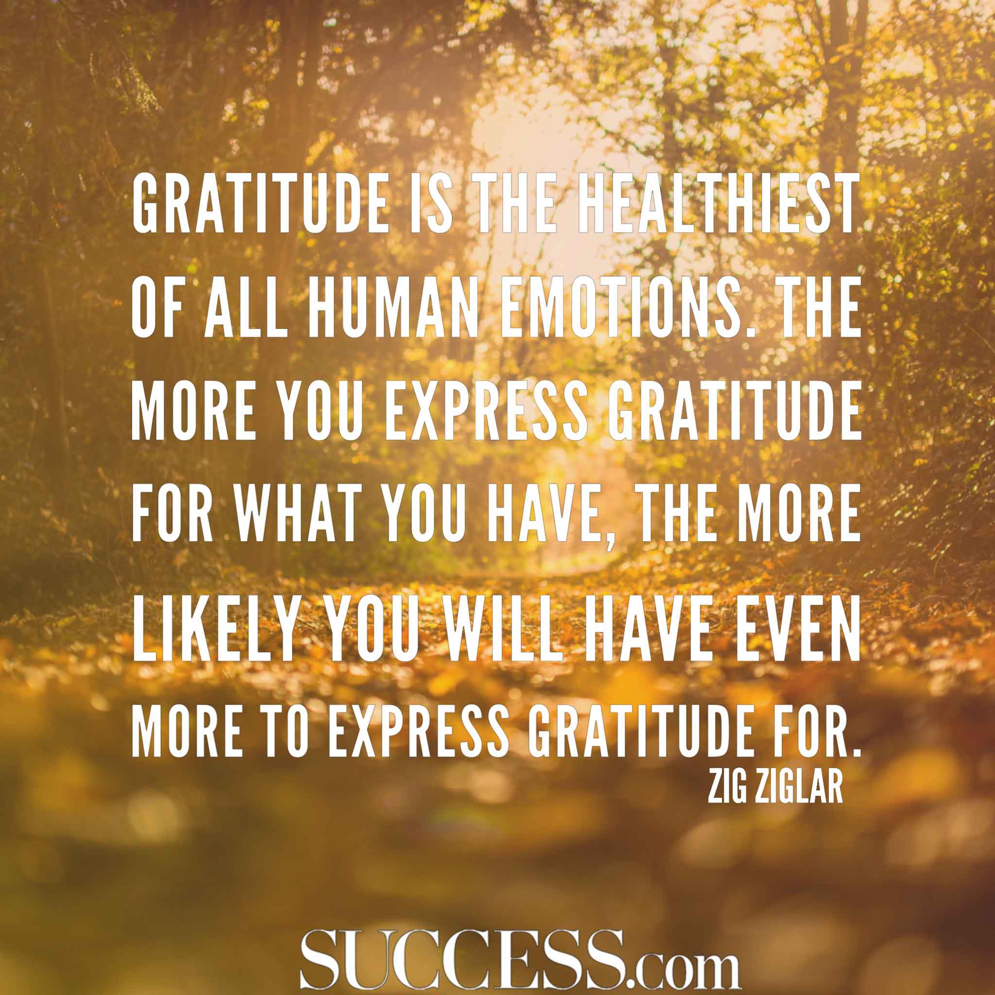 Gratitude