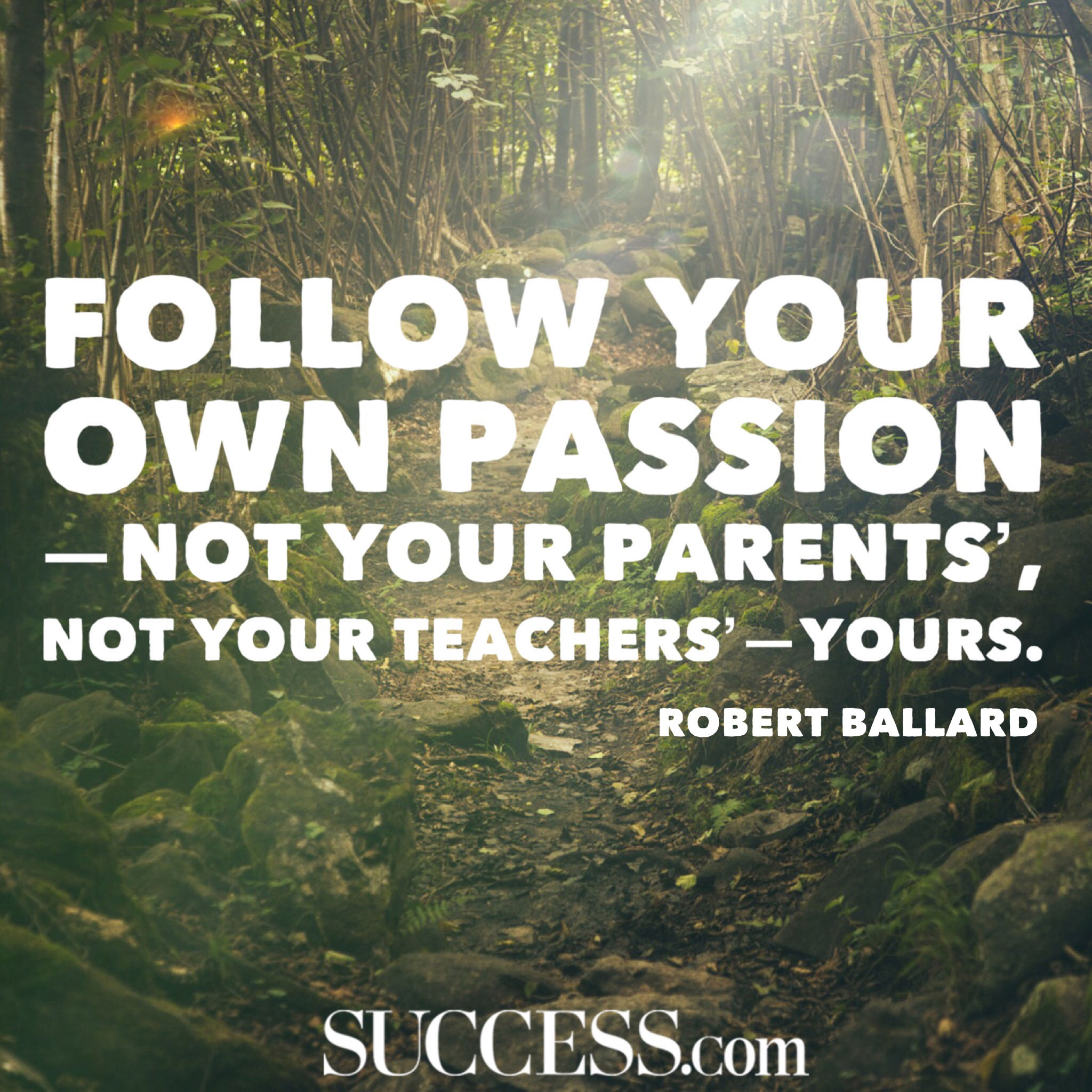 19 Quotes About Following Your Passion