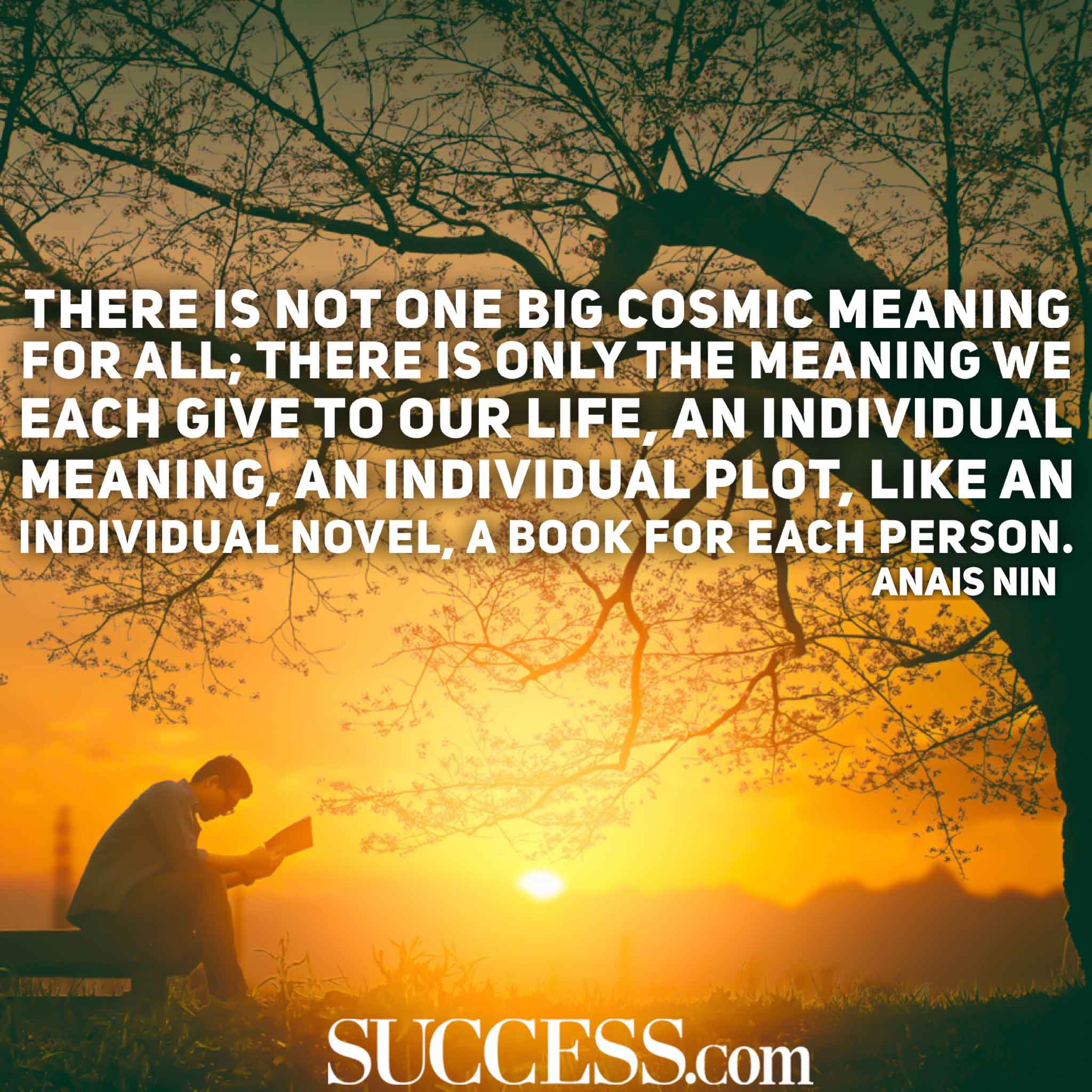 The Meaning of Life in 15 Wise Quotes SUCCESS