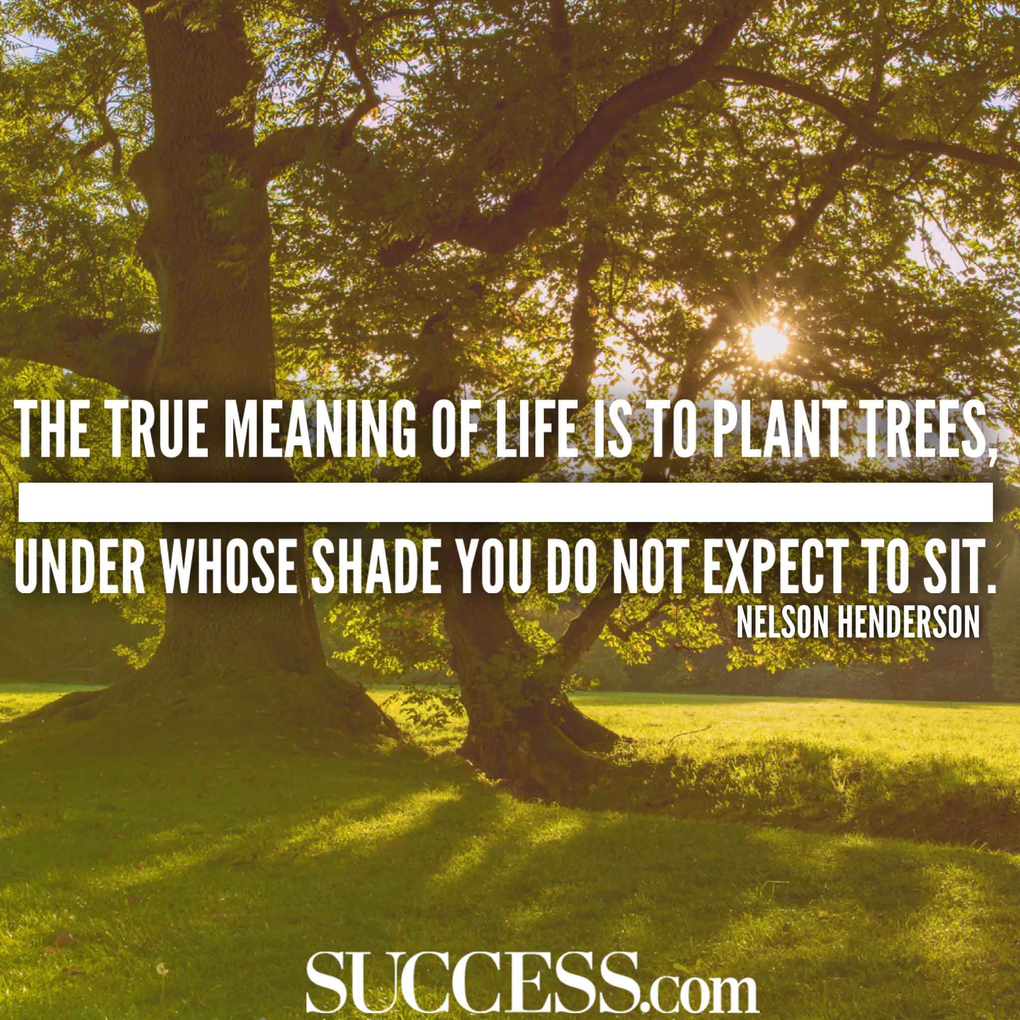 The Meaning  of Life  in 15 Wise Quotes  SUCCESS