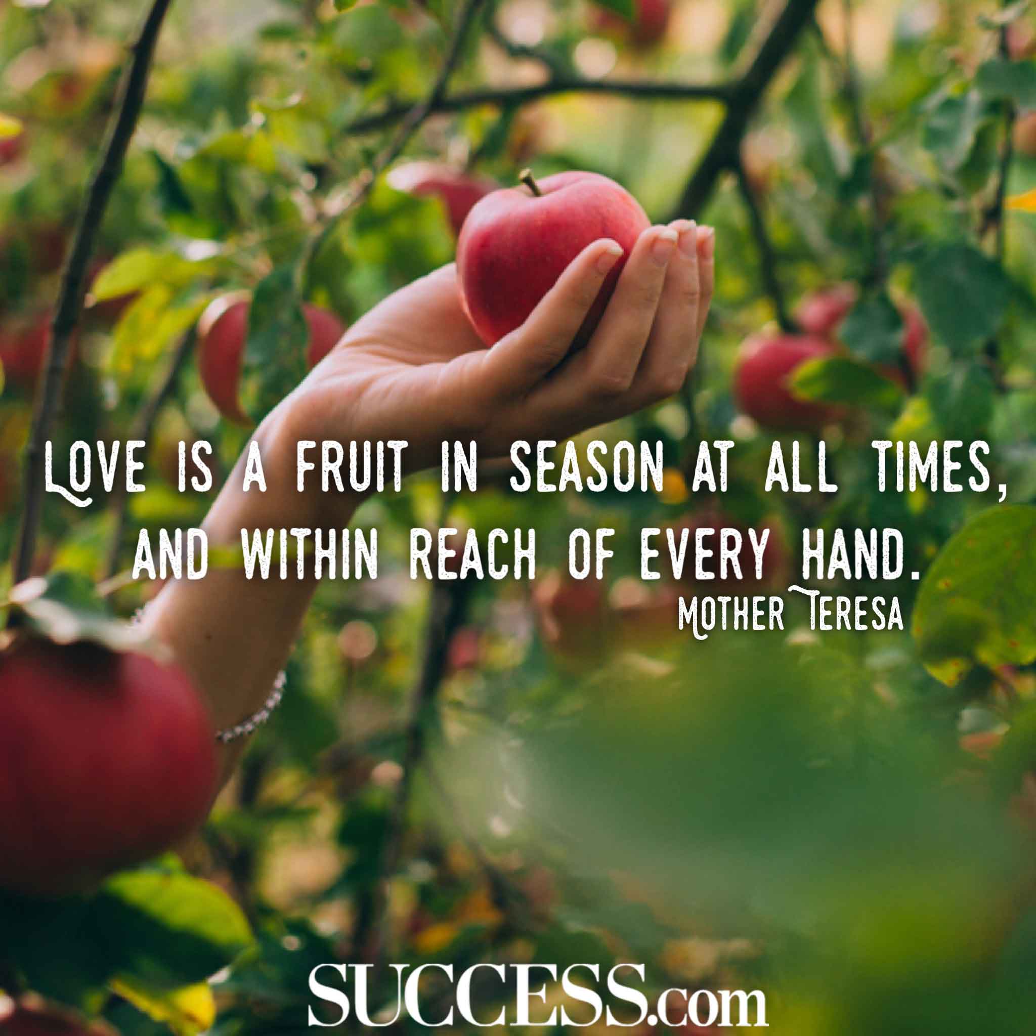 17 Timeless Love Quotes