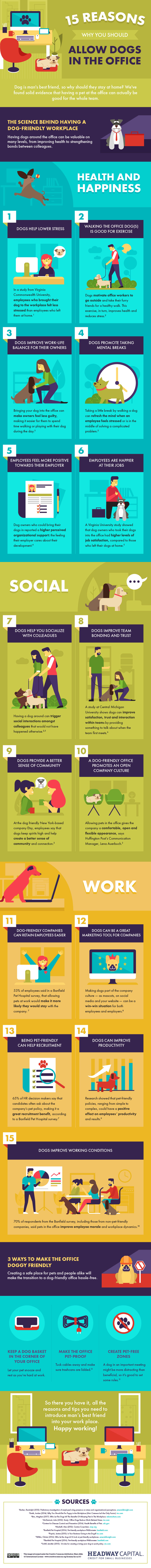15 Reasons Why Dogs Should Be Allowed in the Office