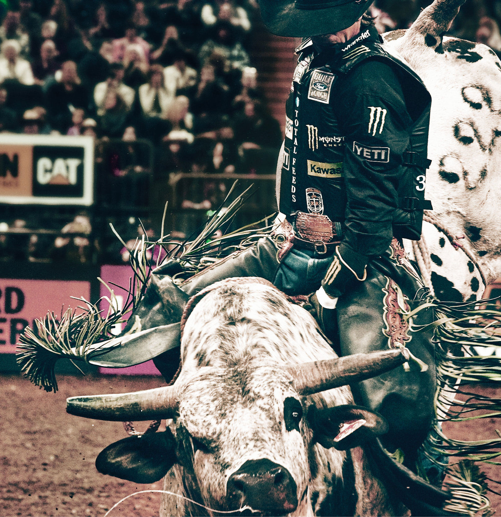 The Baddest Bull Ride Has a Secret to Success: Always Pick the Baddest Bull