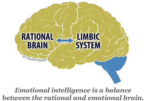 Emotional Intelligence Brain