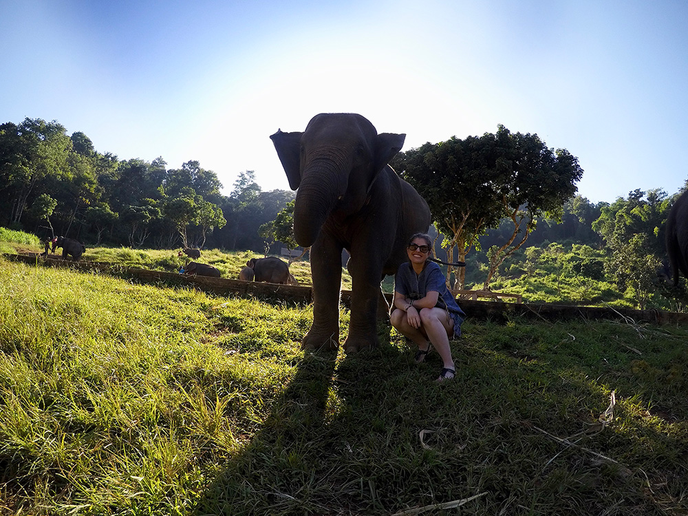 Gettinglostinthailand Elephant