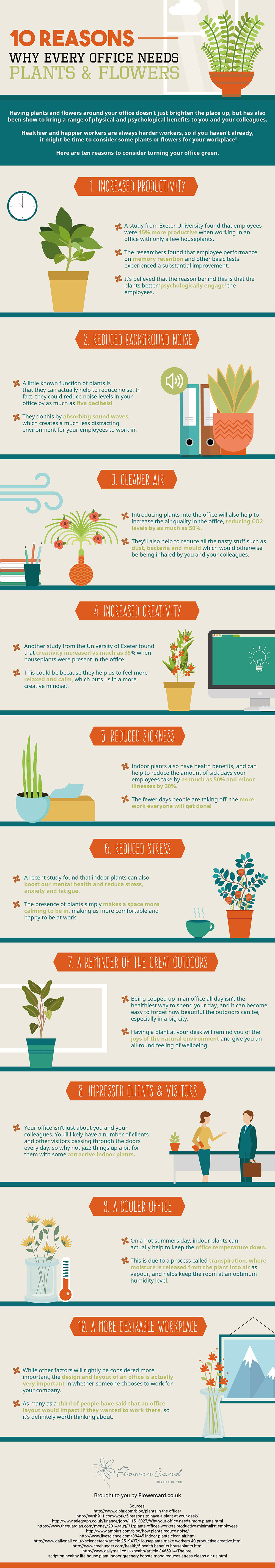 10 Reasons Why Every Office Needs Plants and Flowers