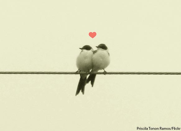 Fighting With Your Spouse