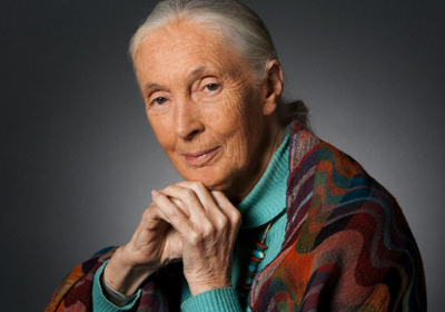 Jane Goodall Lg 0