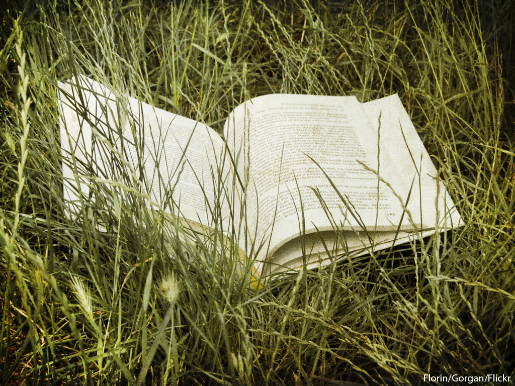 Top of Mind: Inspiration on Leaders’ Minds and Bookshelves